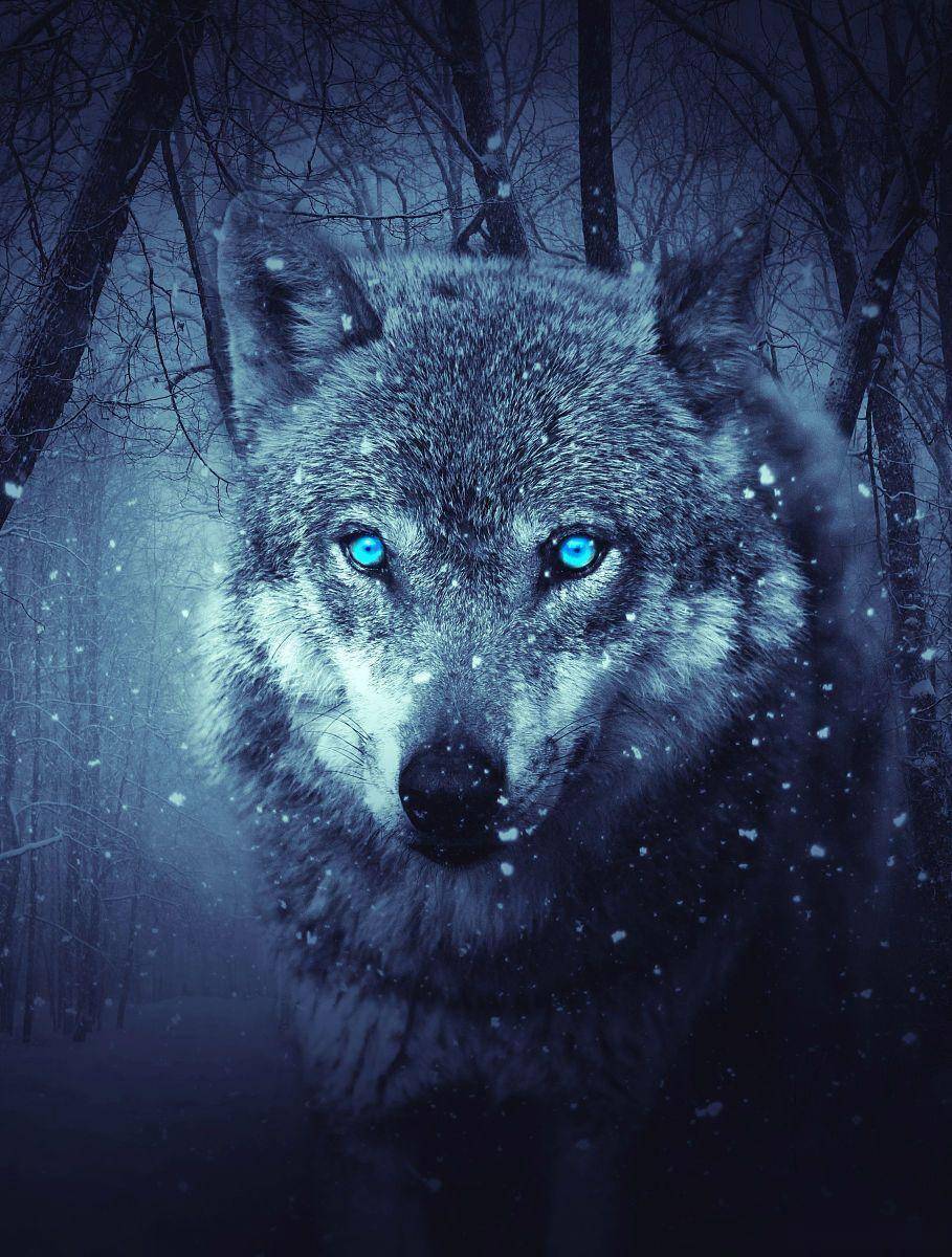 冰原狼复活:人类扮演上帝,还是打开了潘多拉魔盒?