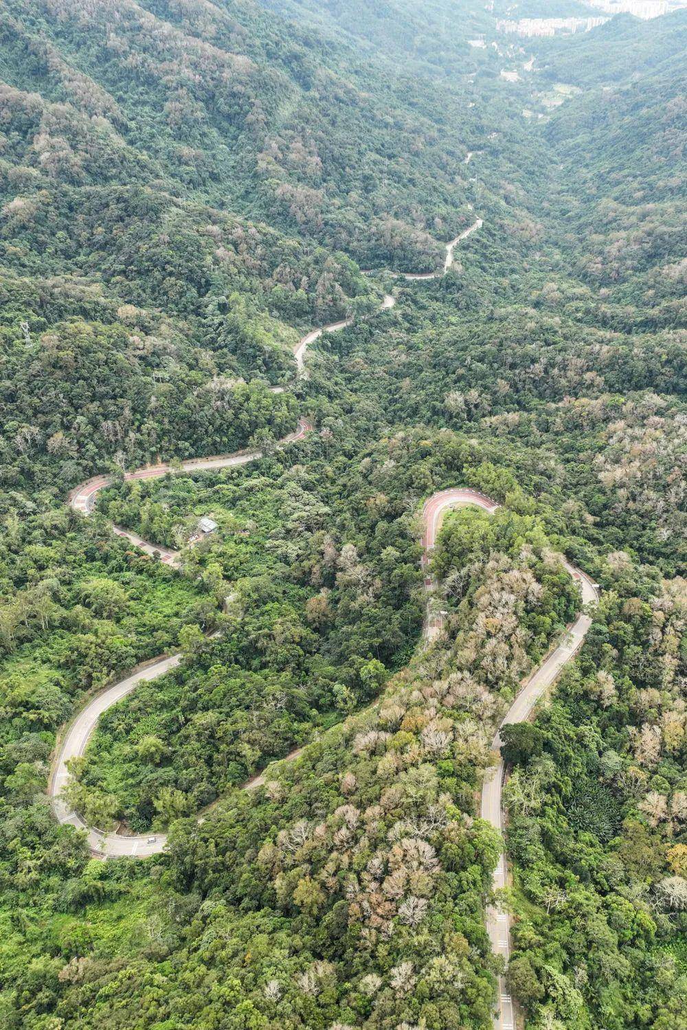 五指山阿陀岭"强者路线"海南同样有值得挑战的而对于高阶玩家路况