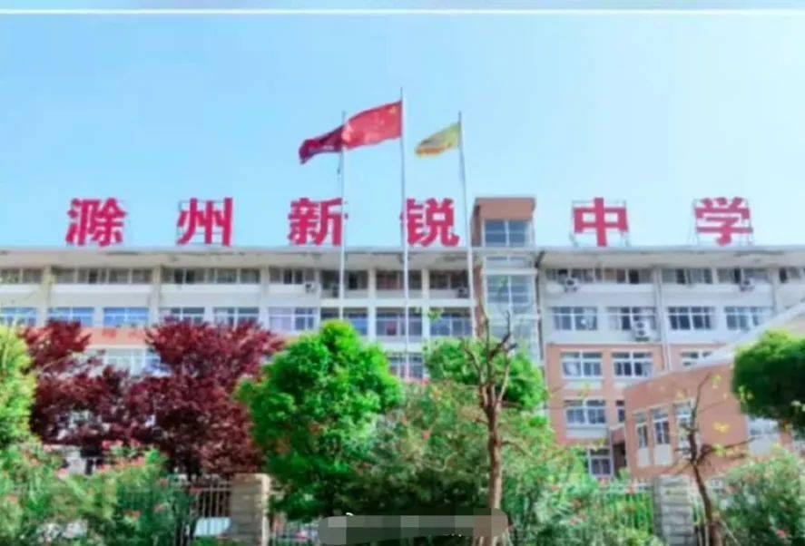 一个教育团队禁止教师参加公务员测试!律师: