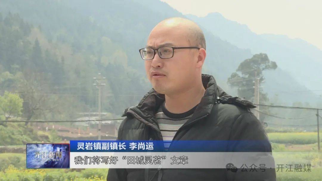 春光明媚好火星电竞app时光 高山茶叶采收忙(图8)