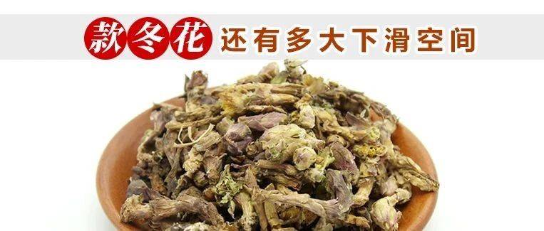 款冬花还有多大下滑空间_种植_价格_止咳