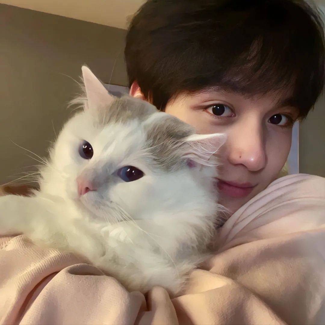 高质量单人情头