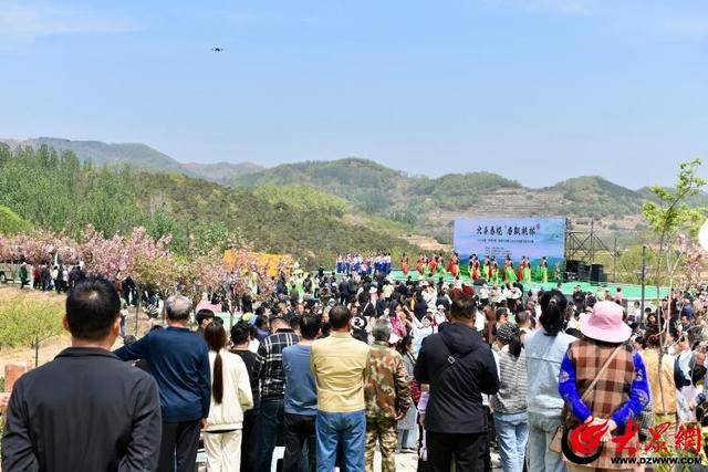 潍坊诸城38万亩春茶开采(图1)