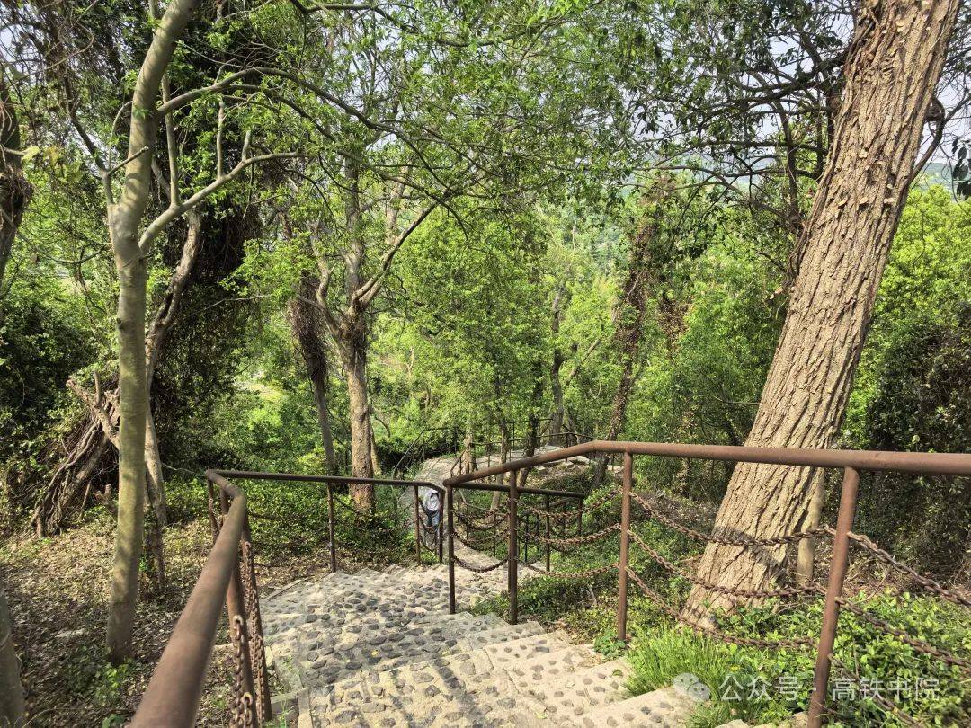 辰山植物园游记