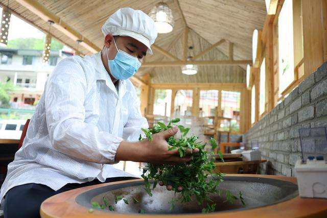 甘雷火竞技下载肃康县：茶香悠悠(图3)