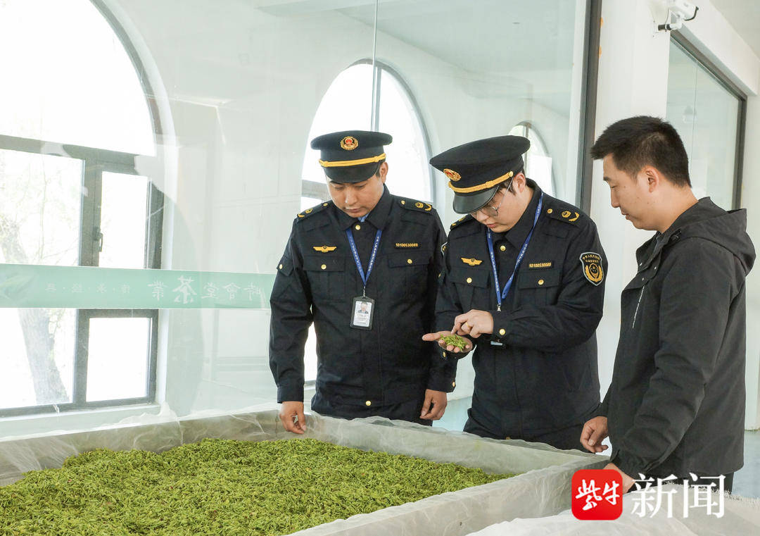 味美春茶品质为先 地理标志产品“绿杨春”带着“监管温度”上市 香飘更远更持久火星电竞登录(图3)