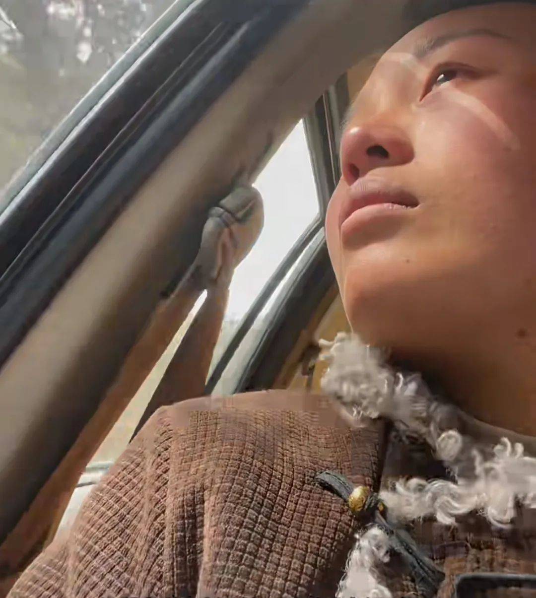 美嘉体育登录0成本旅行年轻人的“杀猪盘”(图2)
