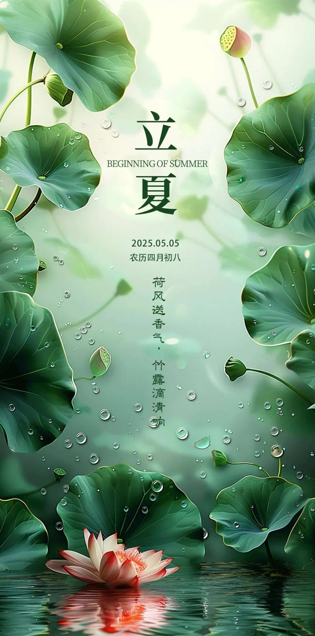 立夏节气唯美祝福图片大全:愿你如夏花般绚烂,绽放自己的精彩人生!
