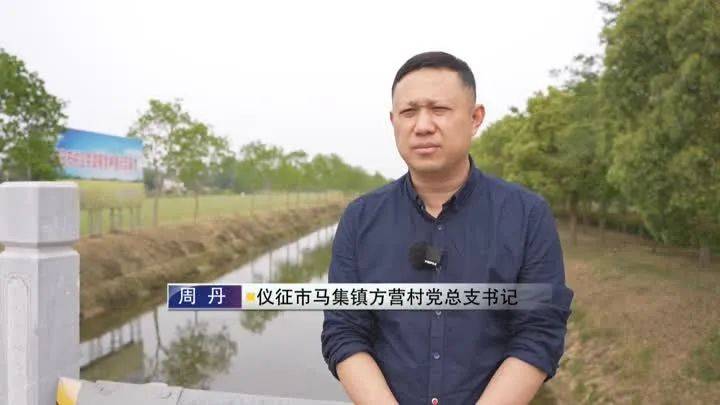 快来看美嘉体育app 胥浦河白羊村大鲍冲心河(图11)