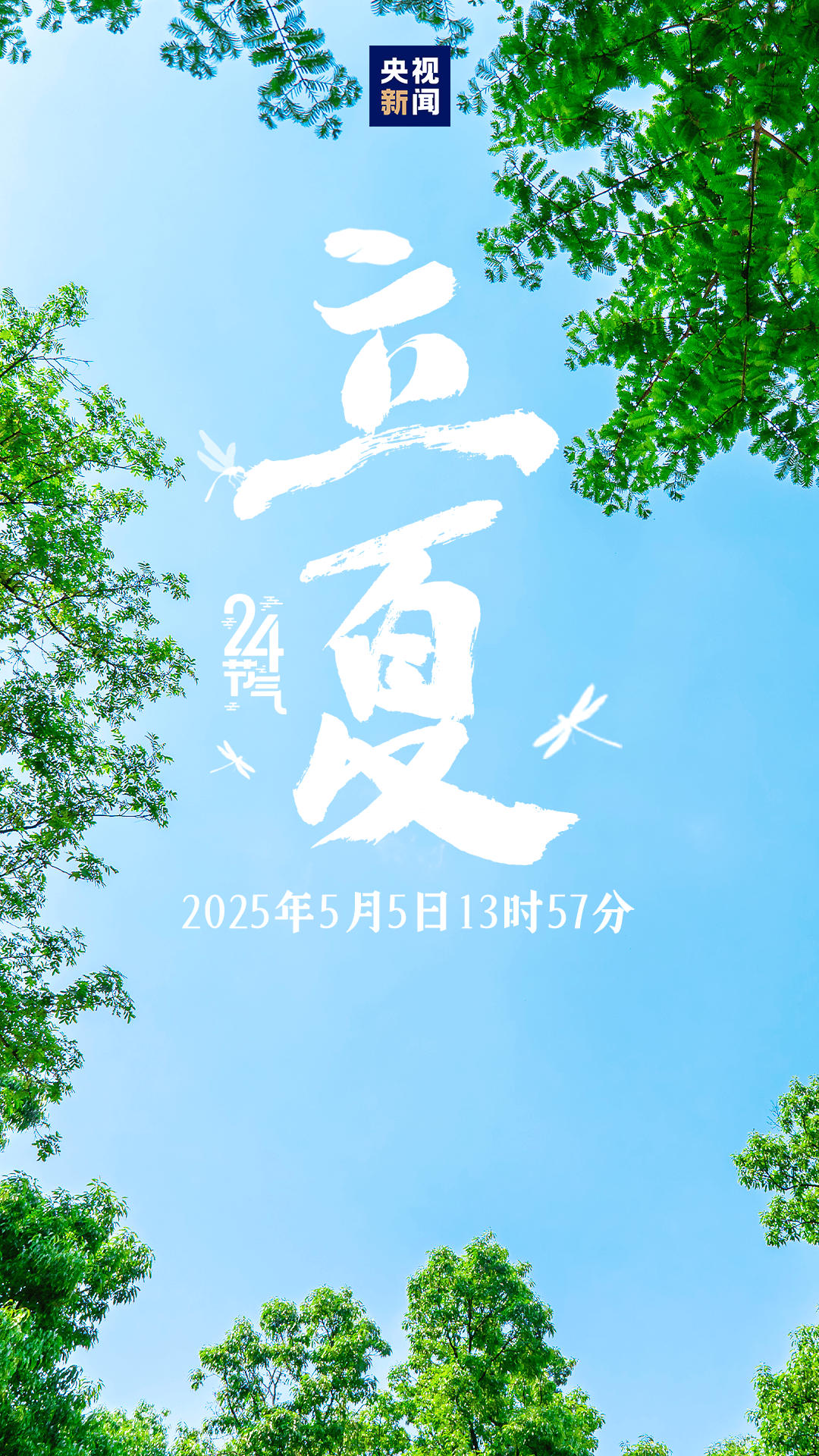 今日,立夏!