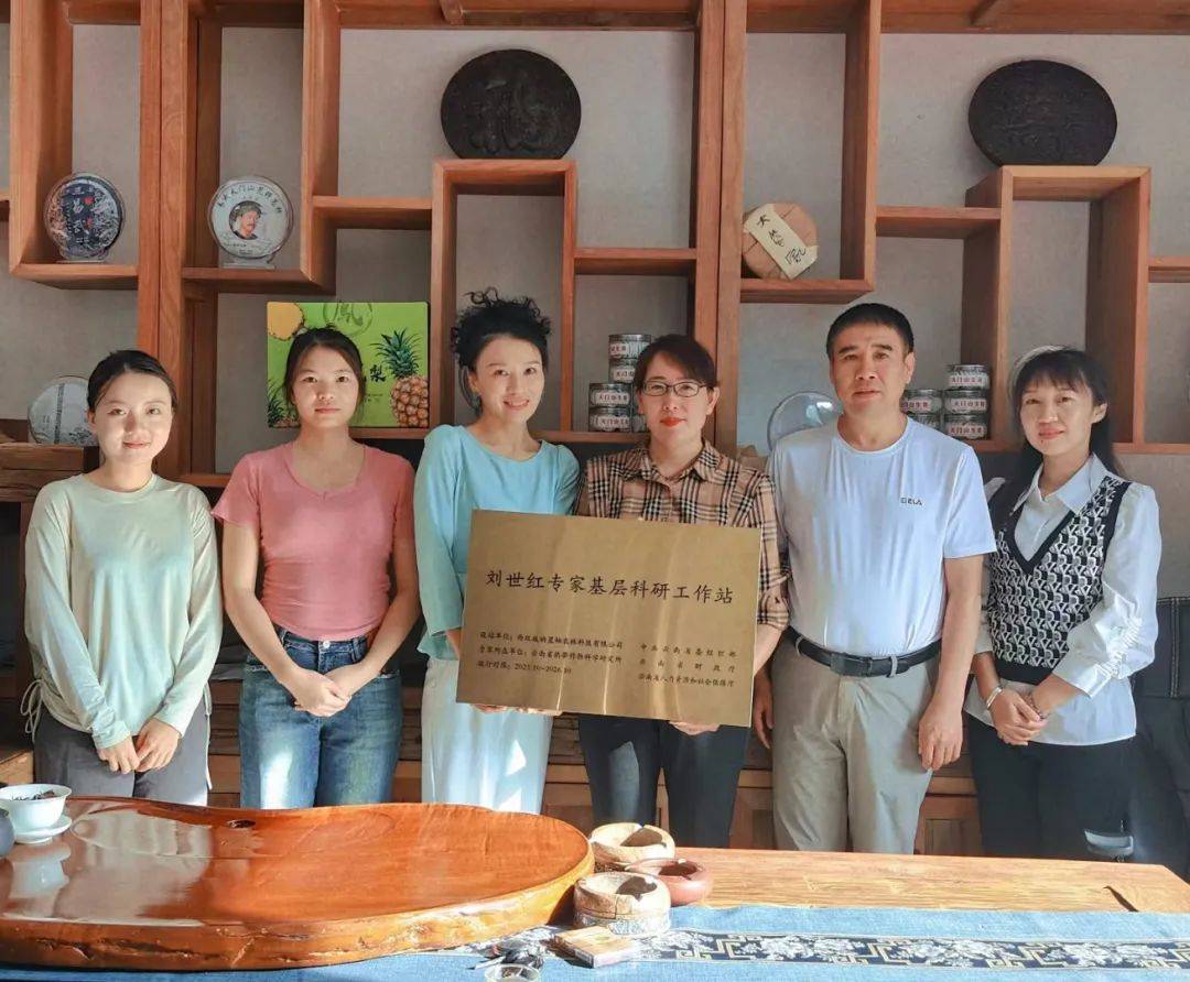 开云体育网址景洪经济眼丨景洪凤梨：“致富果”铺就“甜蜜蜜”致富路(图4)