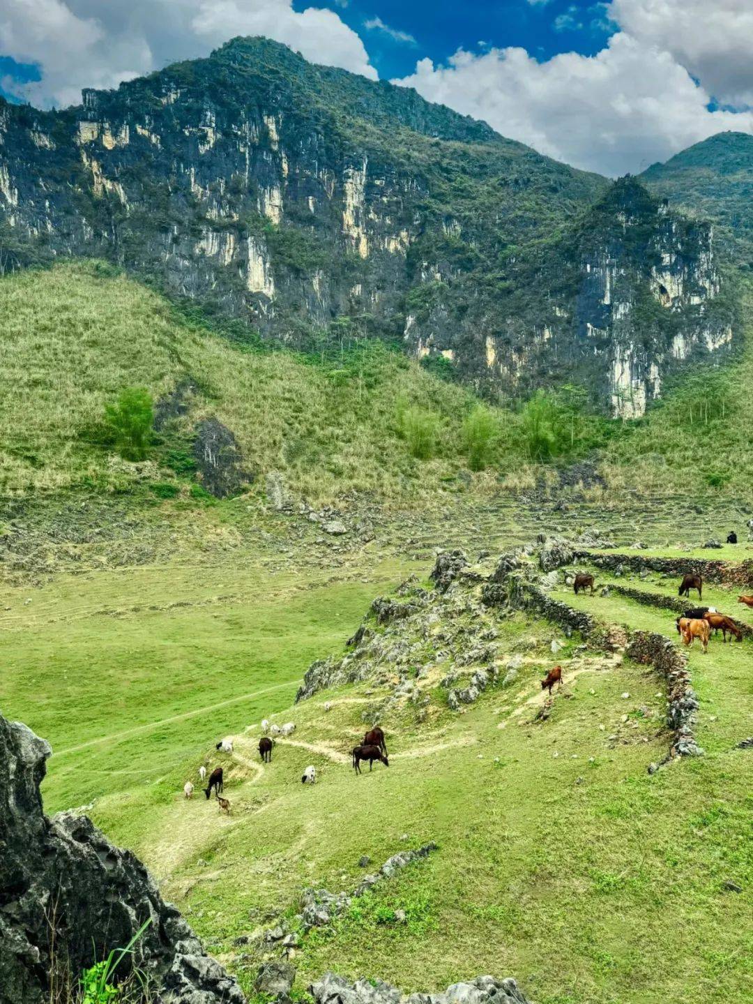 解锁广西空中草原千里江山图