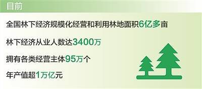 我国林下经济年产值超1万亿元