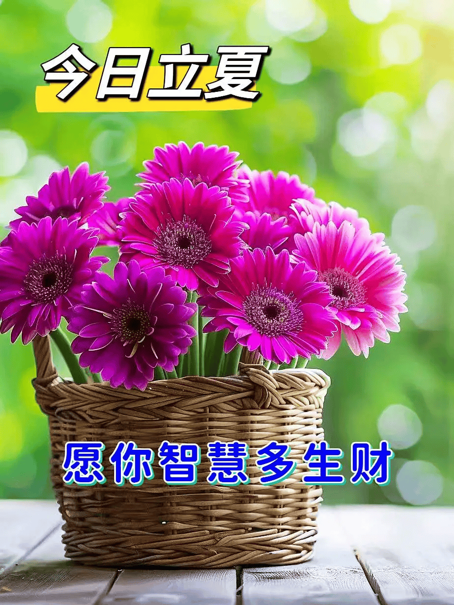 立夏快乐,微信唯美早上好的问候语祝福图片