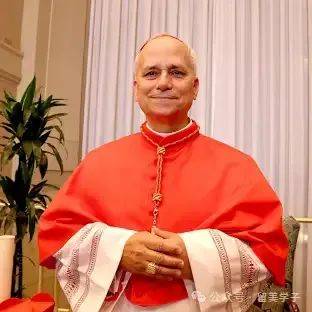 新教皇登基了选举背后的八卦轶事_搜狐网