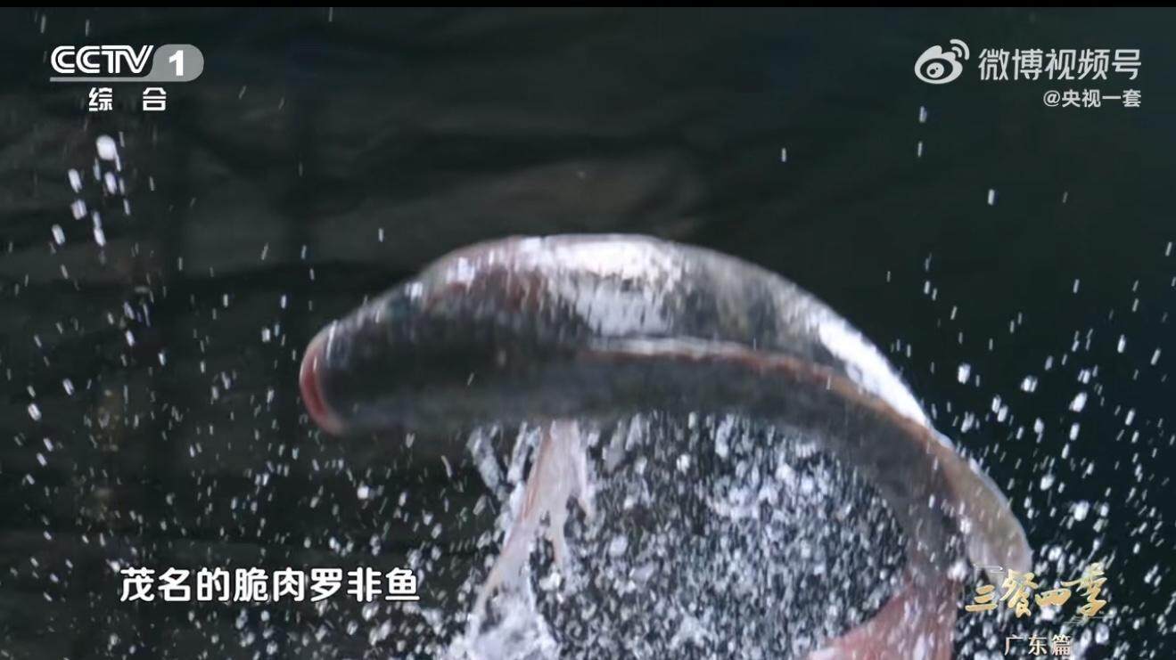 食在茂名“一桌菜”藏着怎样凤凰联盟平台的“百千万”答卷？(图3)