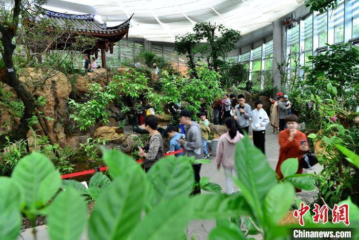 福州三江口植物园吸引民众JN江南注册(图5)