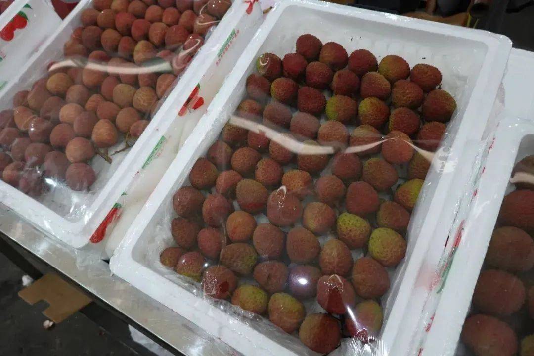 开云体育平台这种水果刚上市就降价40%广西有望迎来丰产“大年”(图1)