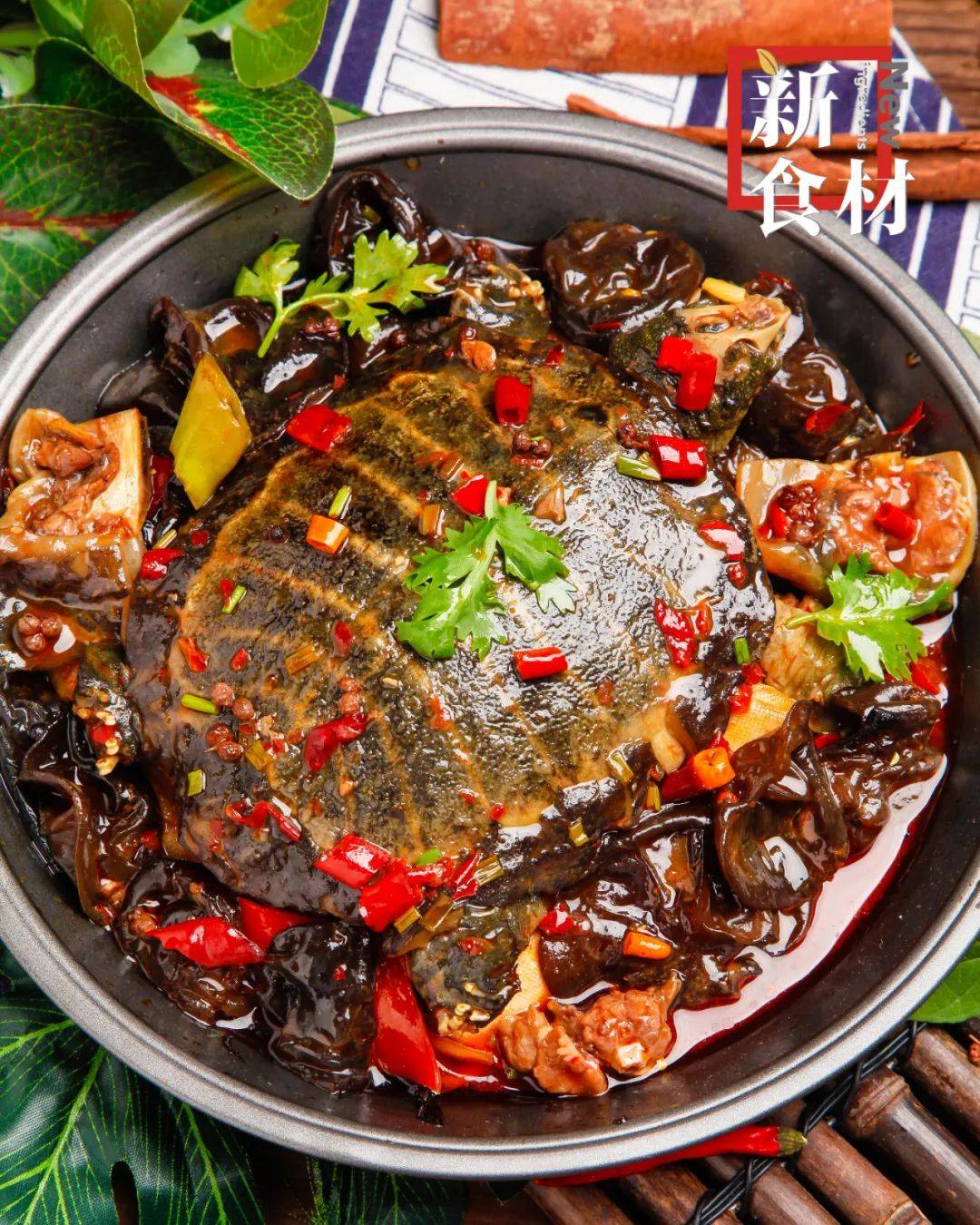 这些与甲鱼相伴30多年的老把式未曾想到自己养殖的中华鳖每年产出