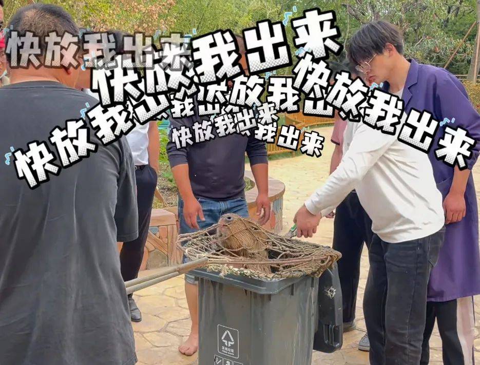 悬赏奖励升级“越狱”卡皮巴拉“豆包”位置已初步锁定星空体育平台(图2)