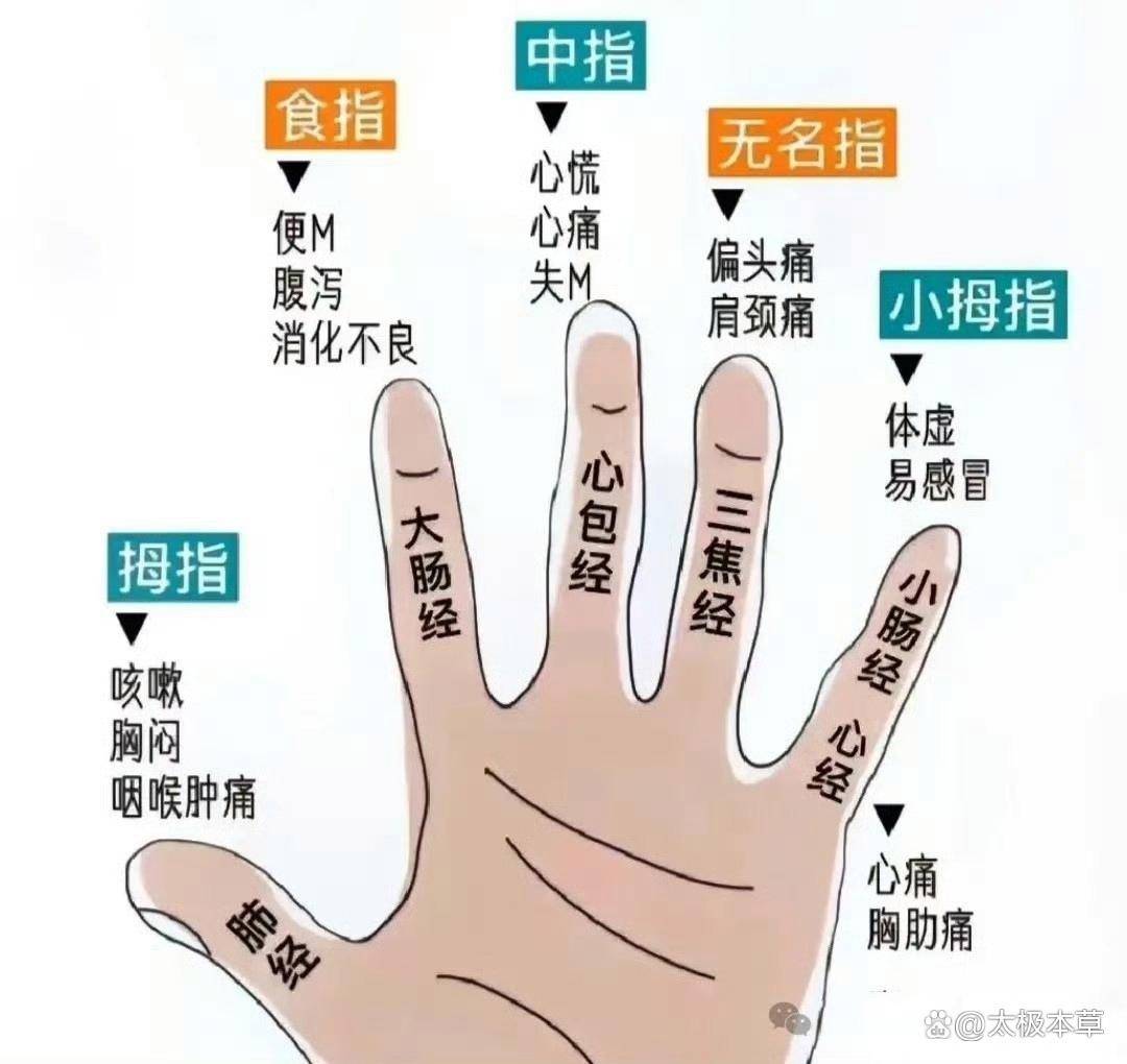 十根手指每天这样刮一刮,疏通五脏,通六条经络_食指_十指_中指