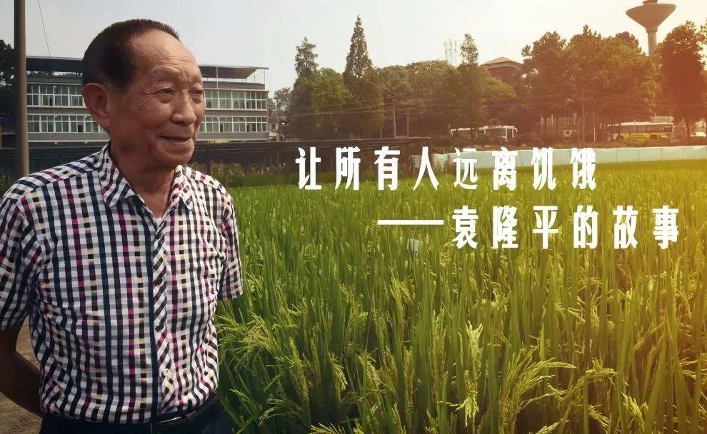 洪江融媒丨礼赞科学家:让所有人远离饥饿