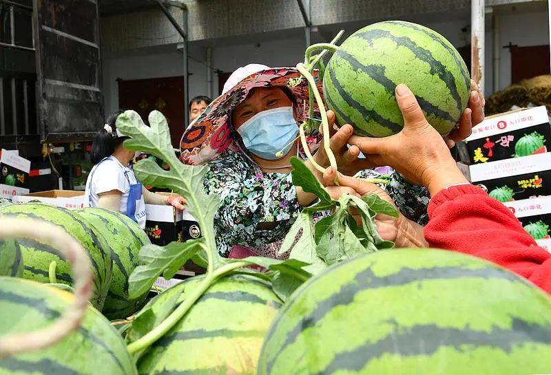 每天拍拍西瓜月入3万元！这个新兴职业火了→