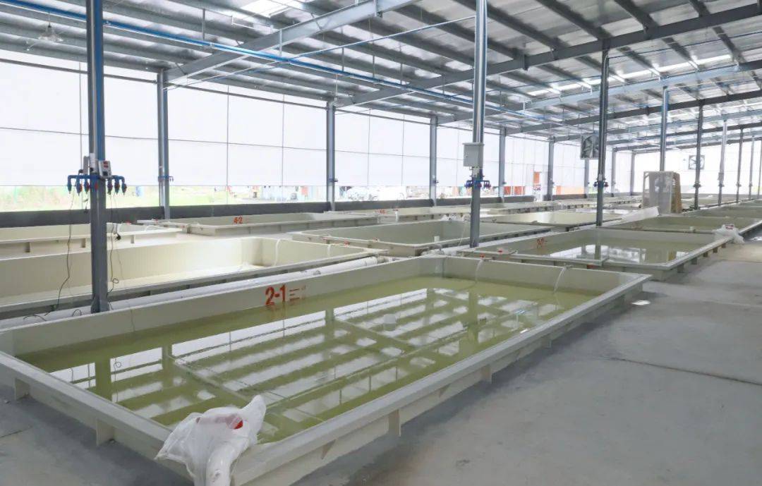 全国首家无人智能水产育苗车间,在九江!