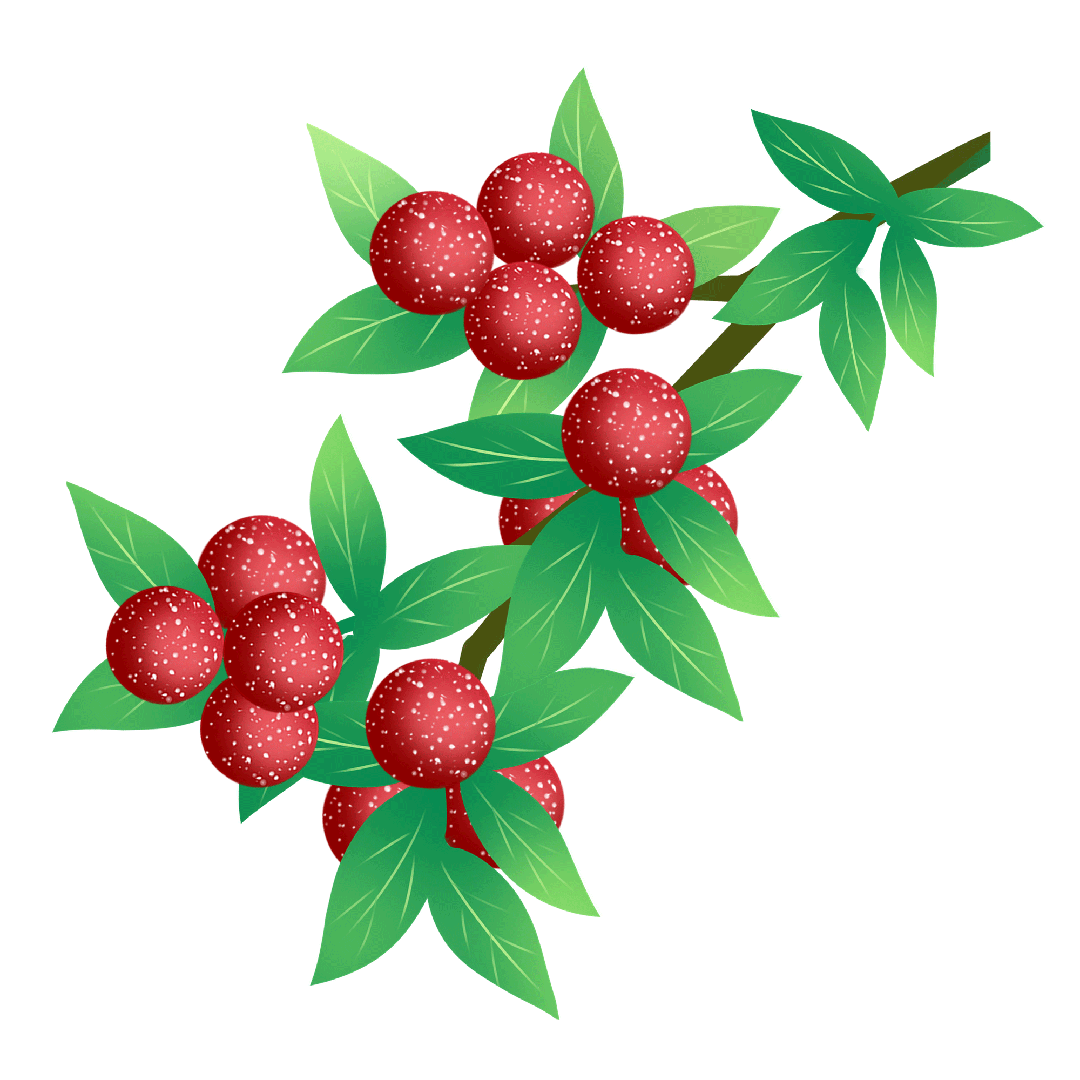 夏日水果新宠!快来看看杨梅要怎么选购和保存吧