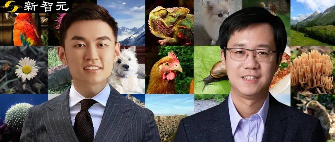 他是一样的，其他人的罢工降低了！完全推翻A