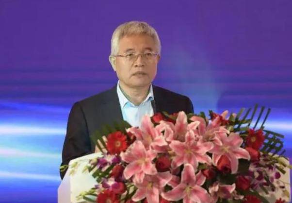 幸运的是，我们国家没有采用这五位专家的建议