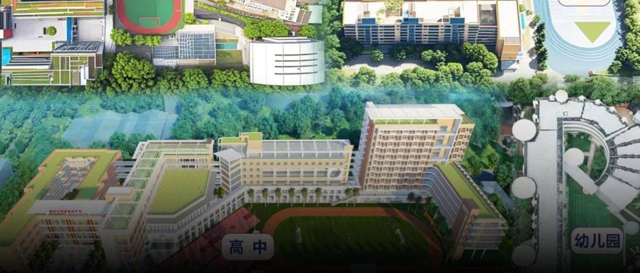 大学加持,跨越发展!深圳这所老牌公立名校正在快速蝶变!_教育_西浦班_教学