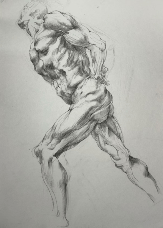 23美术学(师范)素描课程展