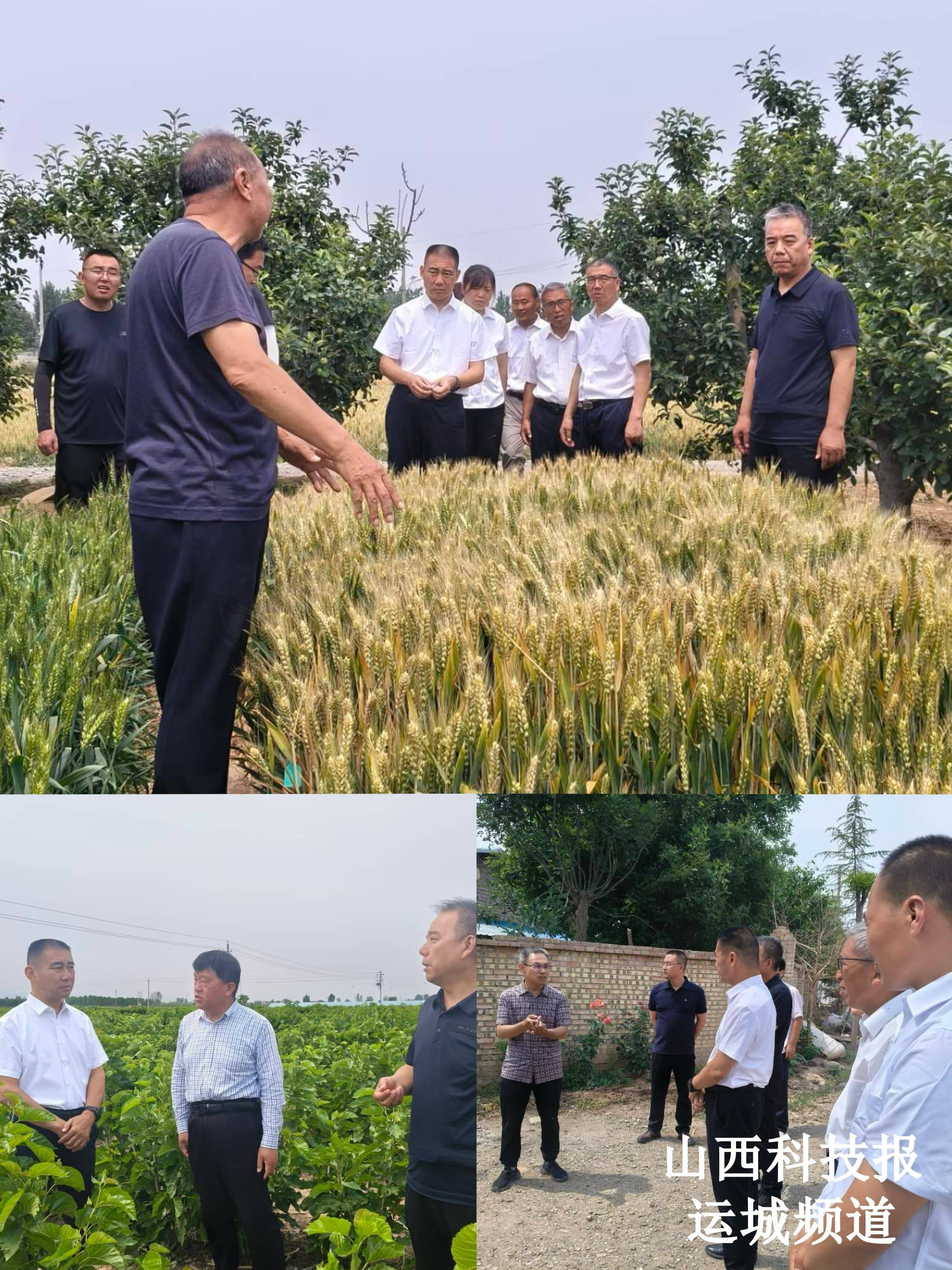 随后专家们前往夏县尉郭乡山西嫘祖故里农业开发有限公司胡张乡恒建