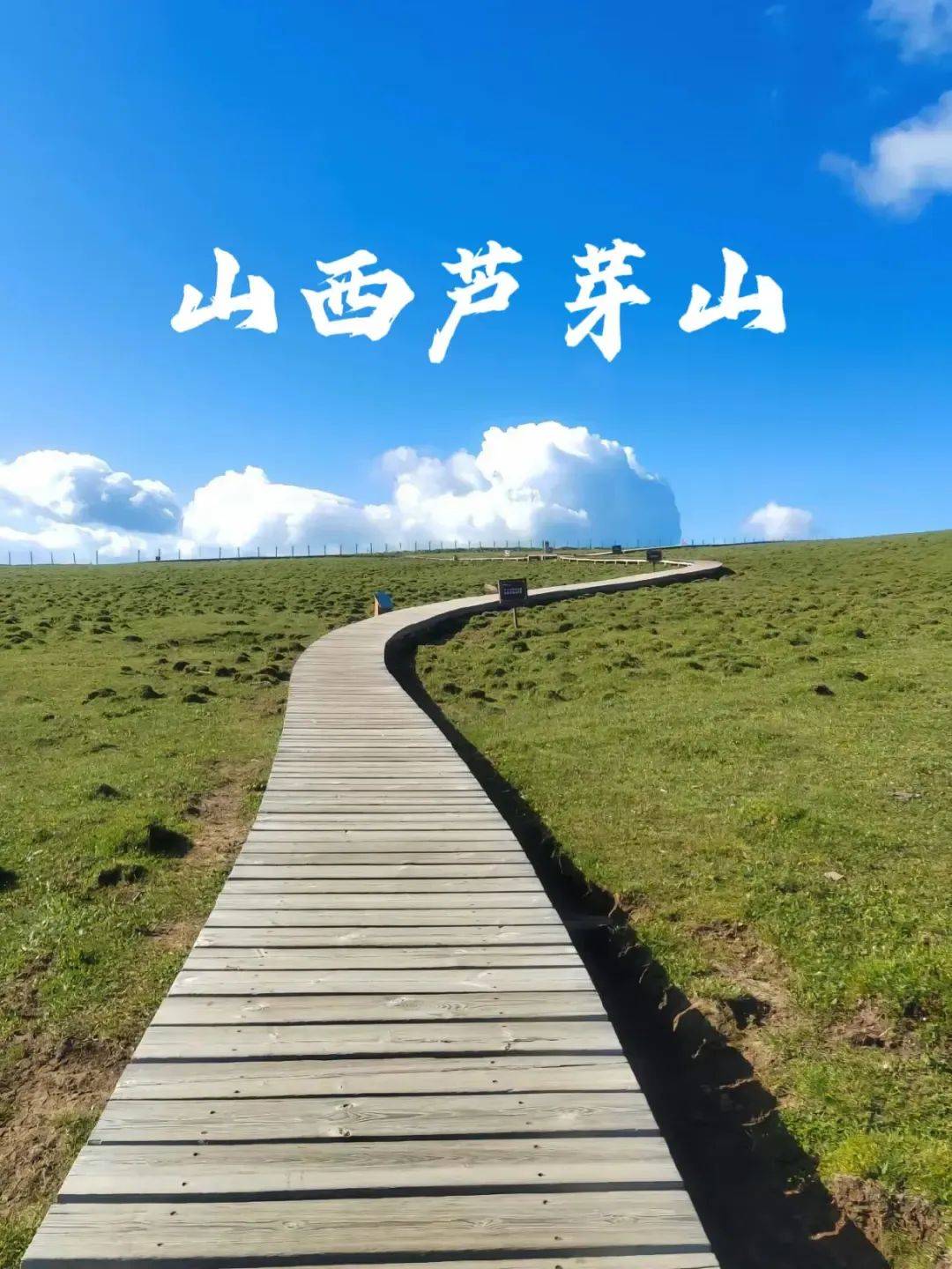 芦芽山图片