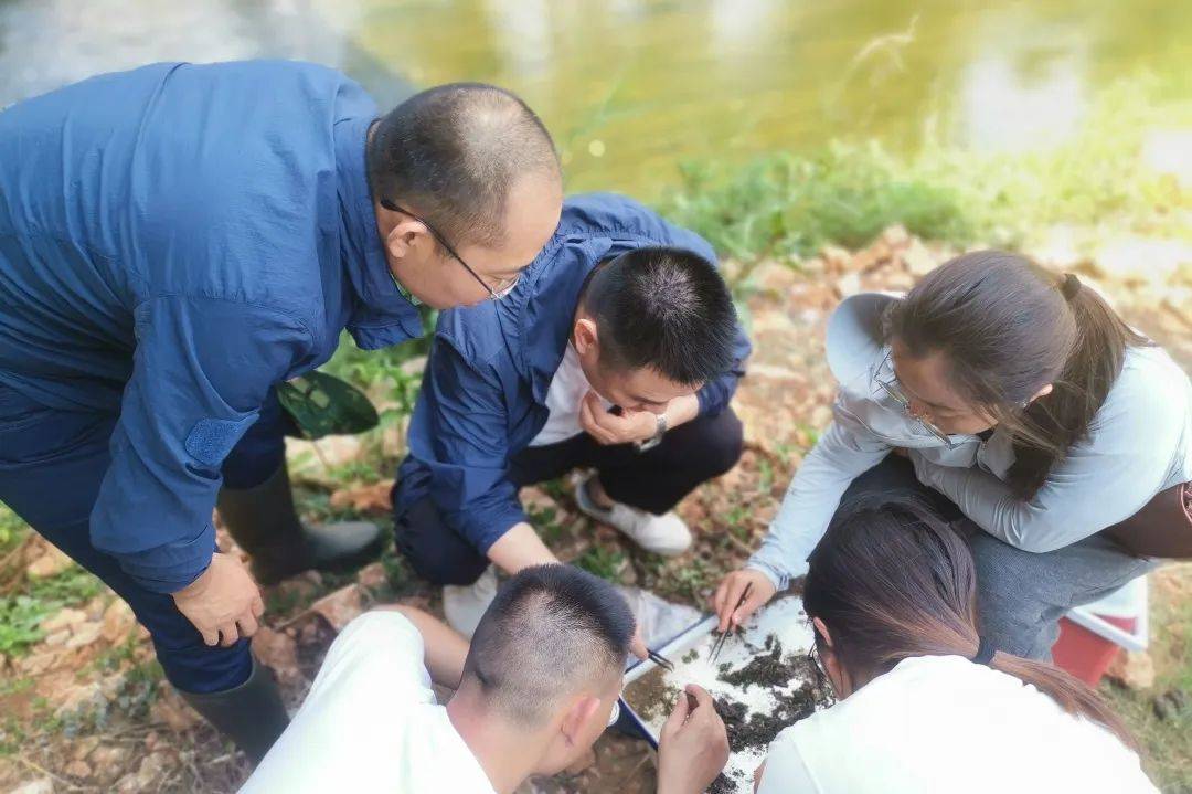 保山分局联合保山学院开展勐波罗河流域水生生物调查监测工作