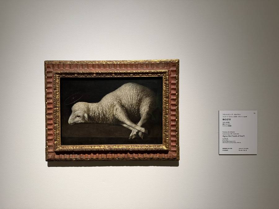参观画展时，如何摆脱“看不懂”的焦虑？