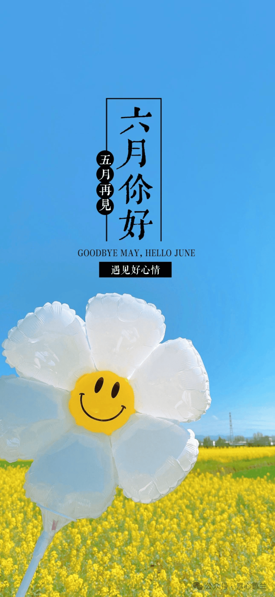 六月你好图片文案,六月第一天适合发朋友圈的句子语录带图