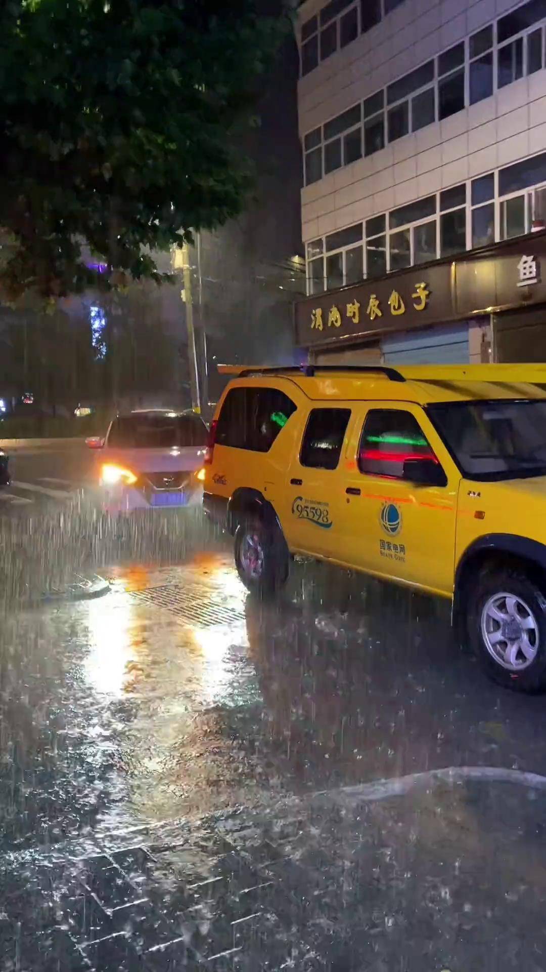 雨️确实大暴雨 瓢泼大雨 雨天行车注意安全 洛南街访dou 小助手