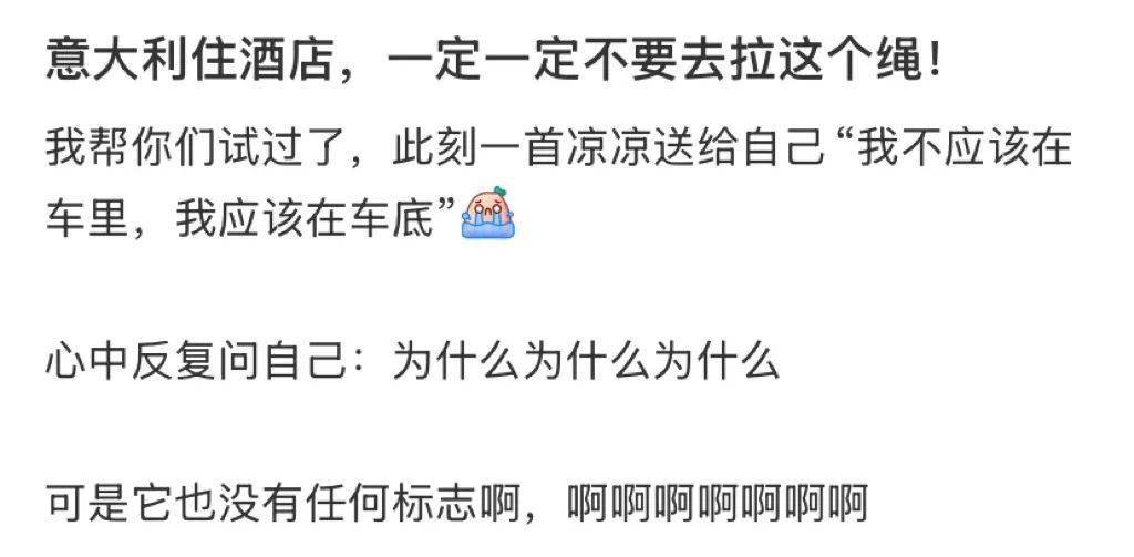 图片[5]-你永远想象不到人在国外旅游能捅多大的娄子 -华闻时空