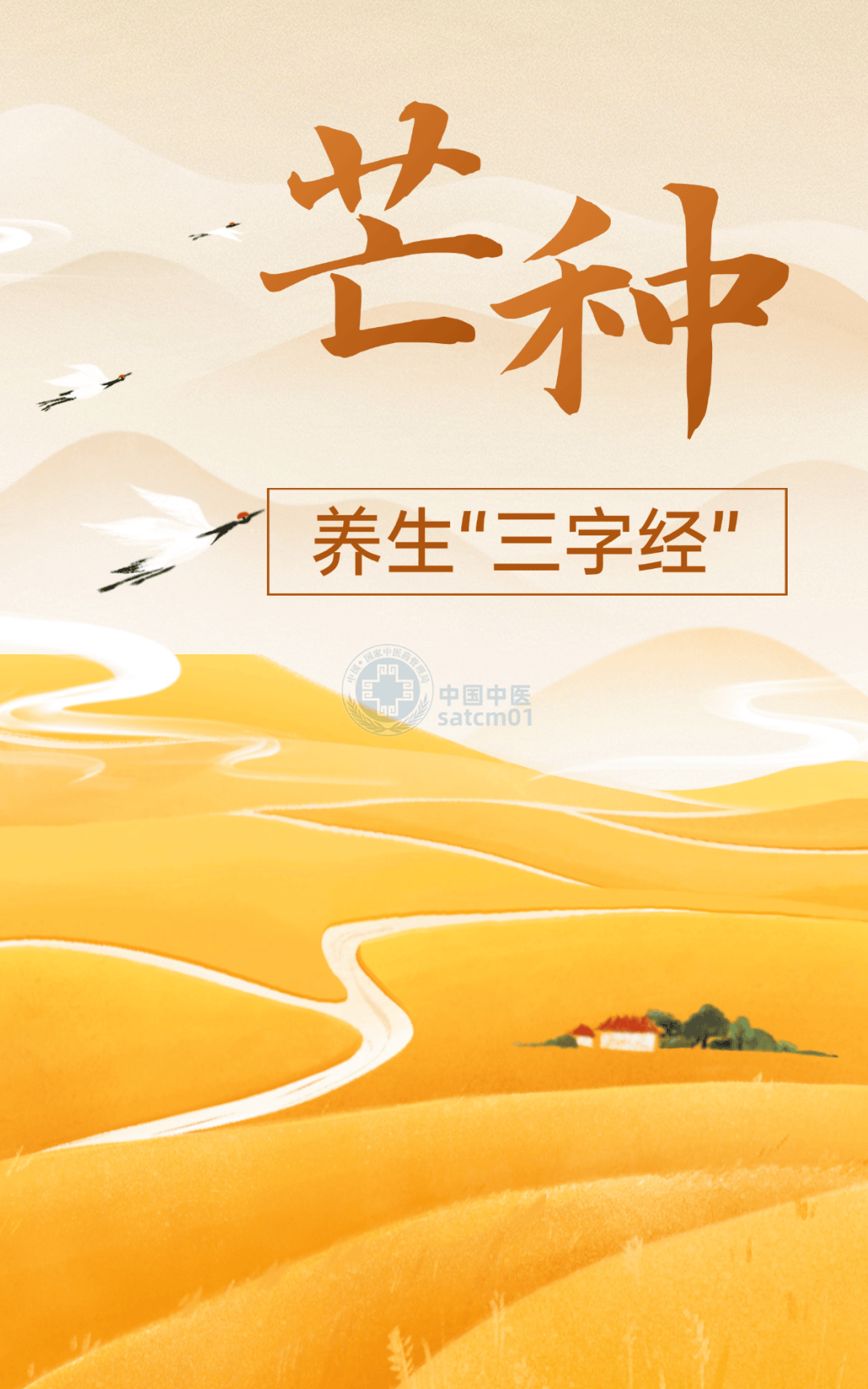 明日芒种，收下这份养生“三字经”，使气机宣畅、通泄自如
