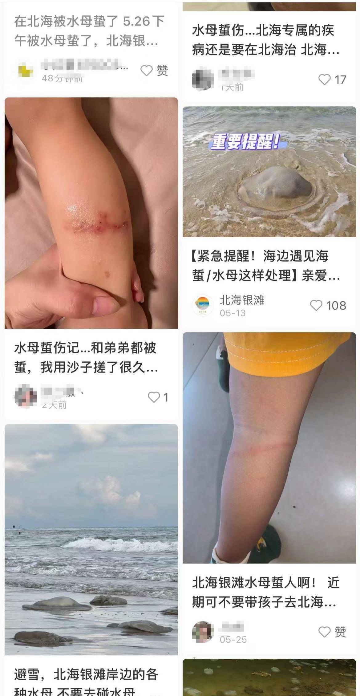 游客在北海海滩游泳时被水母蜇伤,景区:被蜇后要及时前往医务室