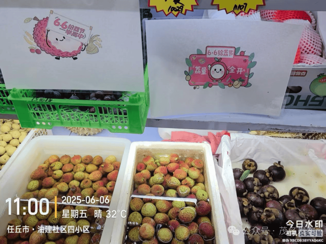 66给荔节火热开展，广东荔枝传递全国祝福