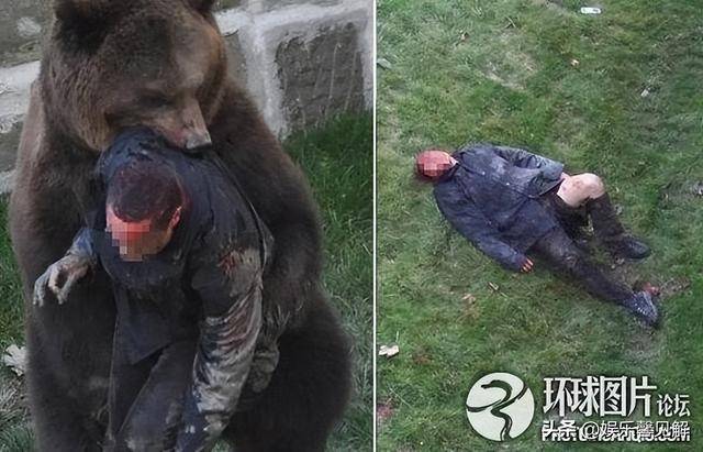 视频画面惨烈,知情人:脸都被吃掉了