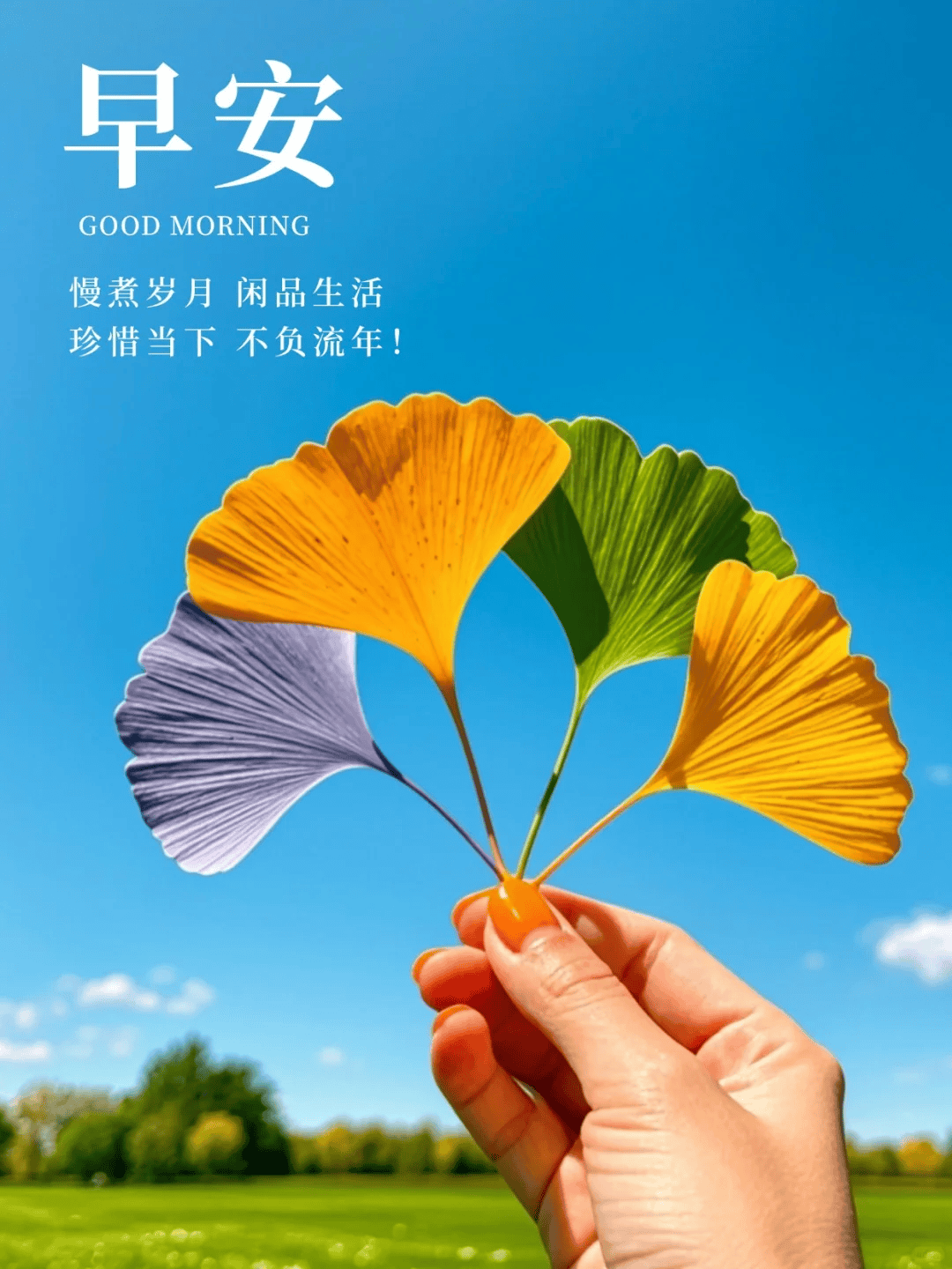 " 适合早上发的朋友圈短句,太高级了～"