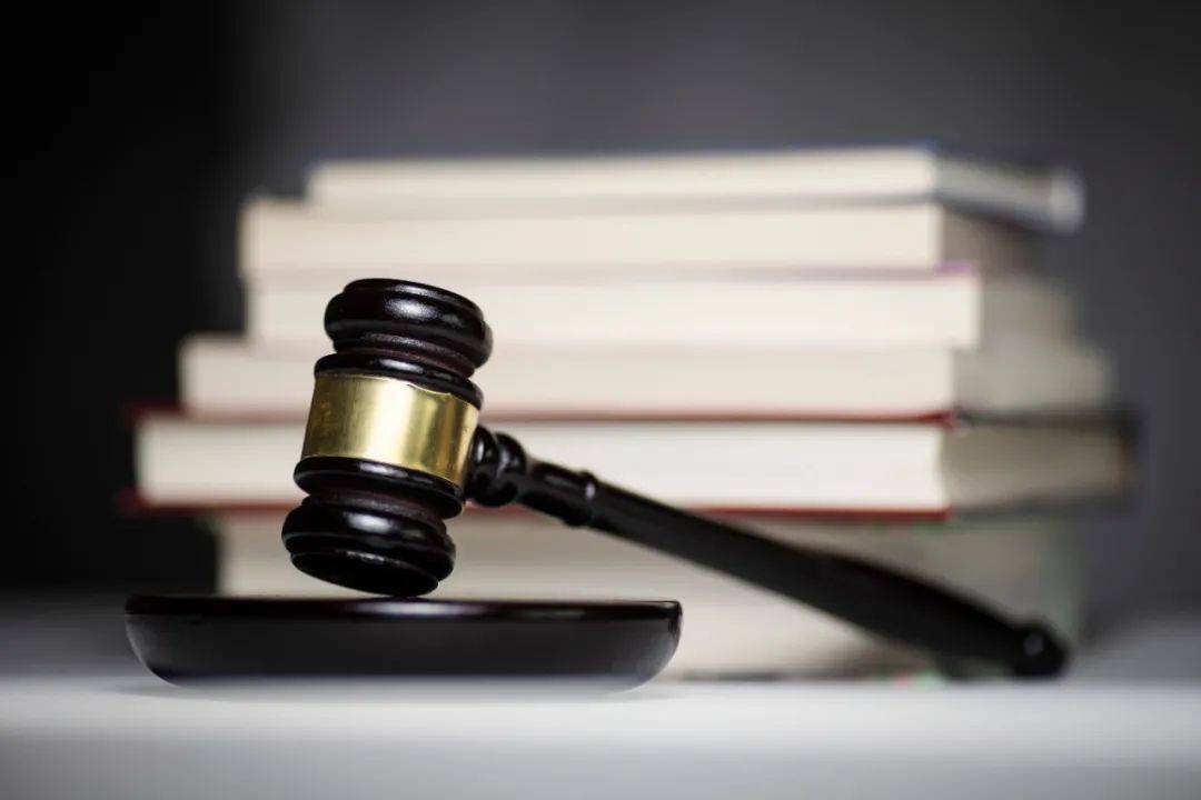 孩子在小区游玩时被天降乌龟砸中头部逝世�，法院�：饲养人全责�，赔128万元