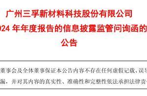 三孚新科净利三连亏、毛利率持续涨，董事长上官文龙等高管去年涨薪