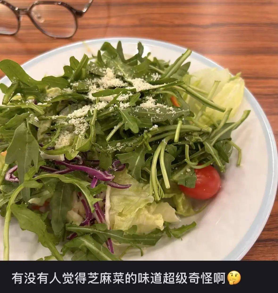 多种营养成分含量碾压普通生菜 又苦又辣的它为何成轻食常驻菜？__多种营养成分含量碾压普通生菜 又苦又辣的它为何成轻食常驻菜？