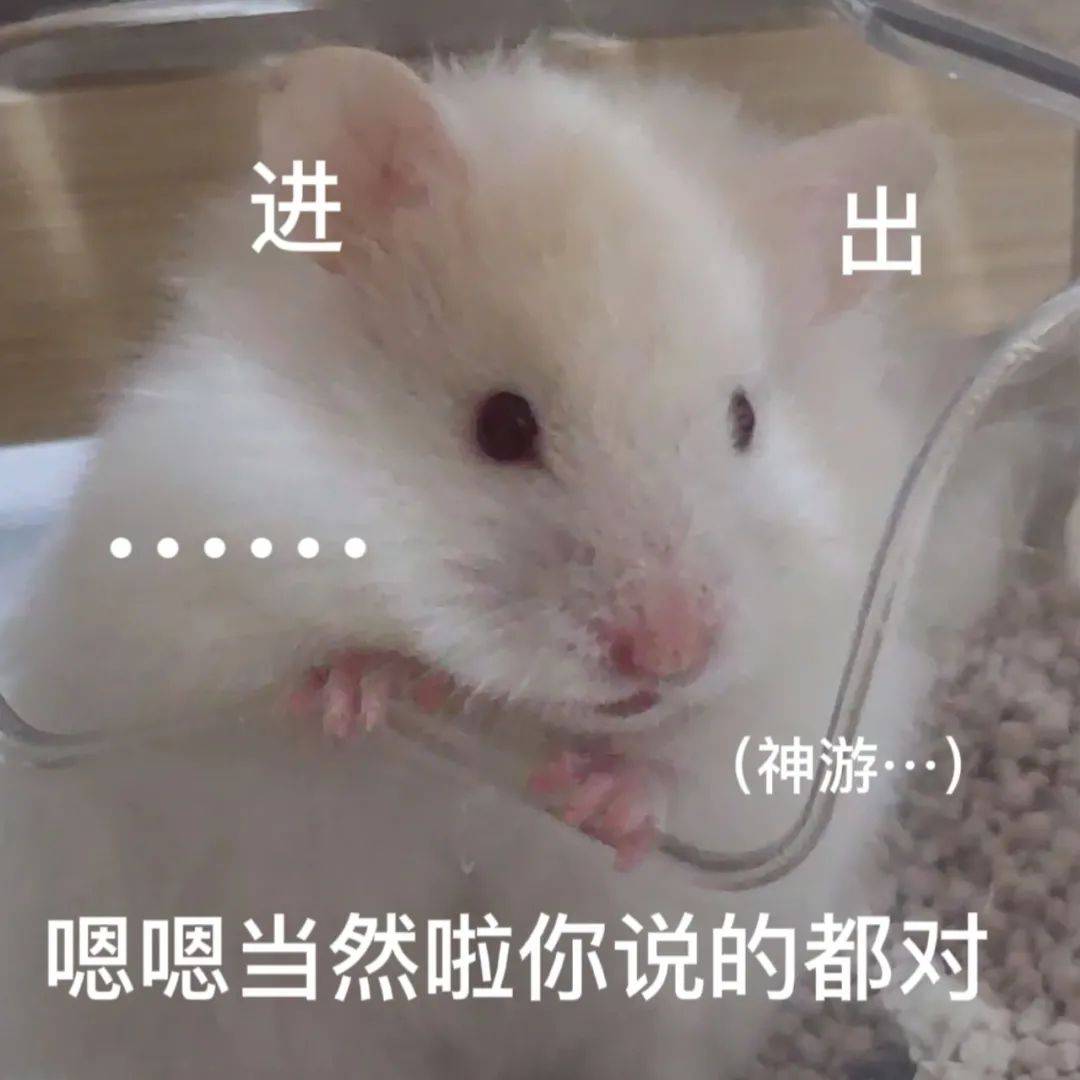 幽默沙雕表情包