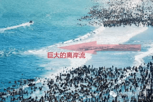 _印度尼西亚粉红色沙滩_印尼粉色沙滩在哪